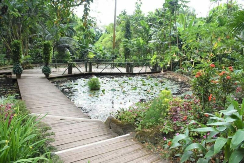 Garden of Sleeping Giant with Sabeto Hotspring Mudpool Tour - Transportation and Timing: What You Should Know