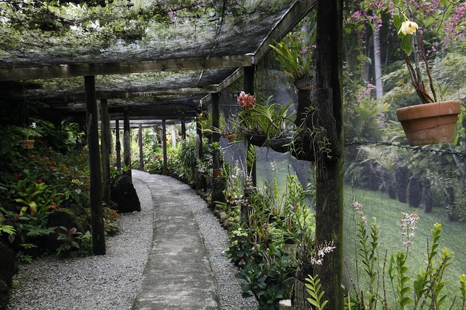 Garden of the Sleeping Giant and Mudpool Tour Combo - Transportation and Comfort