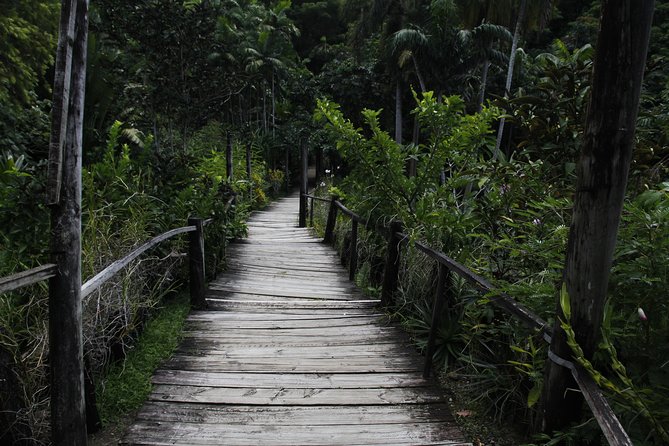 Garden of the Sleeping Giant and Mudpool Tour Combo - Highlights of Mudpool & Hotsprings