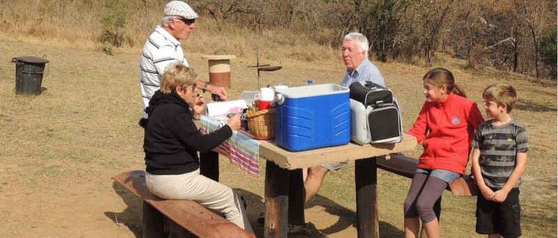 Garden Route & Wine Route - 7 Day Cape Town to Durban Tour - Highlights of the Tour