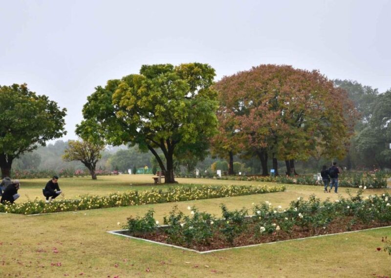 Garden Trails of Chandigarh (Guided Full Day City Tour) - Highlights of the Tour