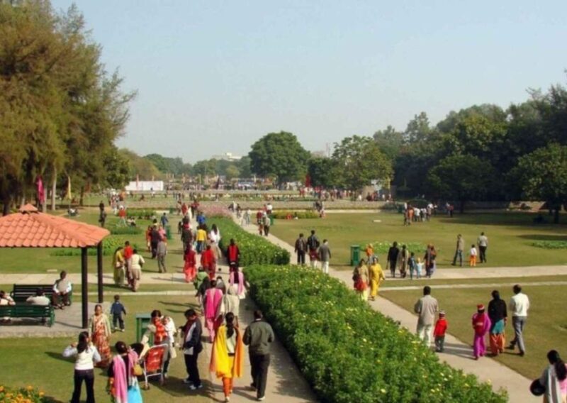 Garden Trails of Chandigarh (Guided Full Day City Tour) - Botanical Wonders Discovered