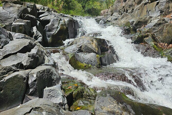 Gardens and Nature Chauffeur Adventures St. Lucia - Practical Details and What to Expect