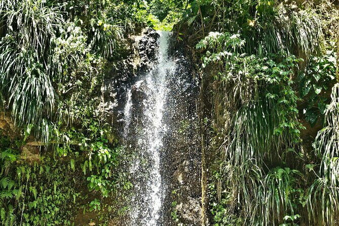 Gardens and Nature Chauffeur Adventures St. Lucia - Who Will Love This Tour?