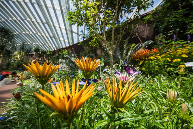 Gardens By The Bay -Flower Dome & Cloud Forest - Transportation and Accessibility