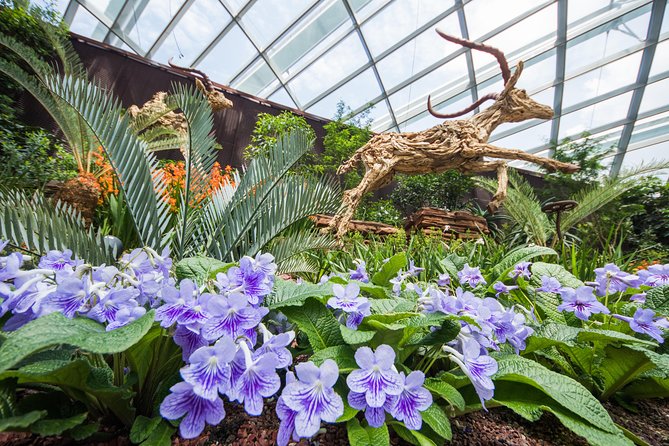 Gardens By The Bay -Flower Dome & Cloud Forest - Customer Feedback and Ratings