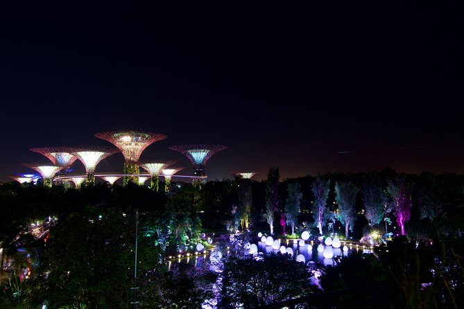 Gardens By The Bay Night Long-Exposure Photography - Meeting and End Point Details