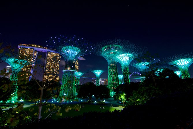 Gardens By The Bay Night Long-Exposure Photography - Accessibility Information