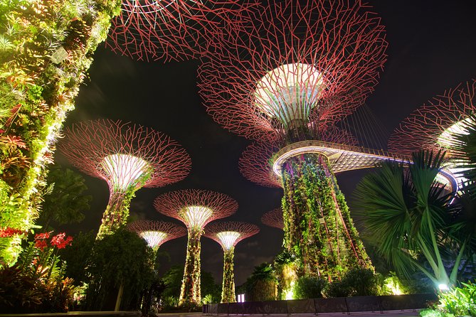 Gardens By The Bay Night Long-Exposure Photography - Participant Requirements