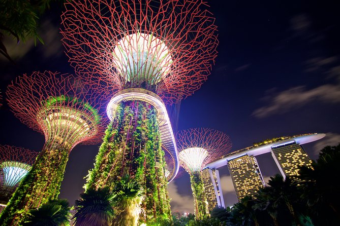 Gardens By The Bay Night Long-Exposure Photography - Capturing the Gardens at Night