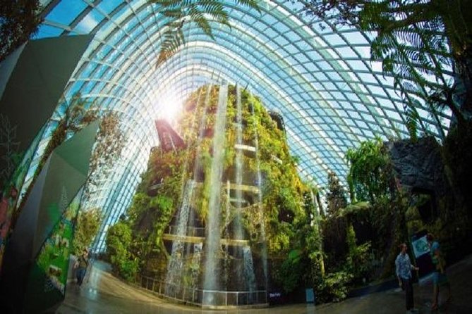 Gardens By The Bay Ticket - Visitor Reviews and Ratings