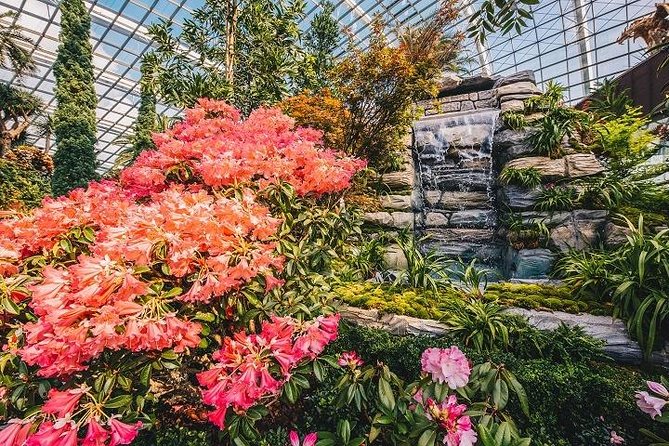 Gardens By The Bay Ticket - Accessibility and Physical Requirements