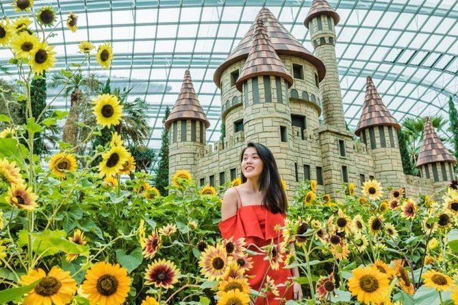 Gardens by the Bay With Both Domes (Small-Group Pickup)  - Singapore - Marvel at the Flower Domes Blooms
