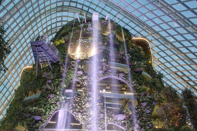 Gardens by the Bay With Both Domes (Small-Group Pickup)  - Singapore - Convenient Small-Group Pickup Service