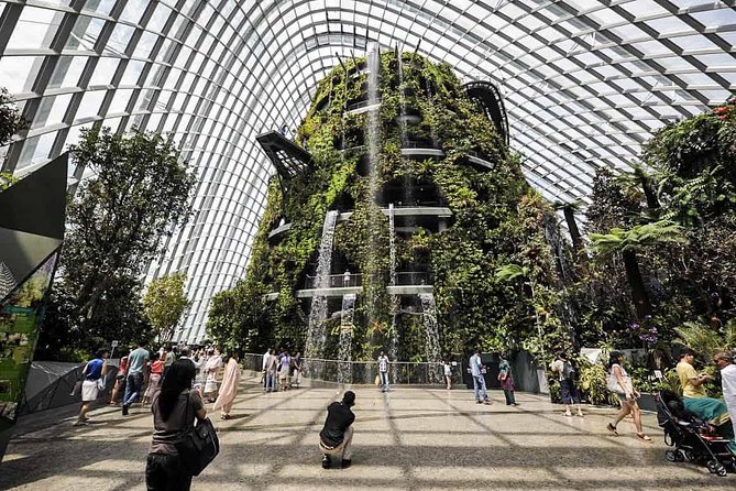 Gardens by the Bay With Both Domes (Small-Group Pickup)  - Singapore - Flexible Ticketing and Pricing Options