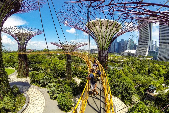 Gardens by the Bay With Both Domes (Small-Group Pickup)  - Singapore - Exceptional Customer Experience and Support