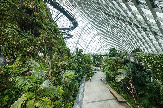 Gardens by the Bay With Both Domes (Small-Group Pickup)  - Singapore - Additional Attractions and Activities in Singapore
