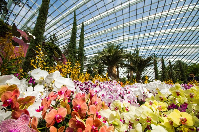Gardens by the Bay With One Way Transfer (2 Domes) - Reviews and Feedback