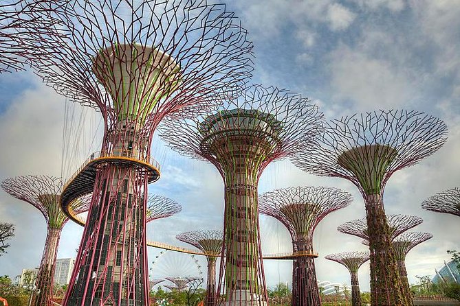 Gardens by the Bay With One Way Transfer (2 Domes) - Accessibility and Accommodations