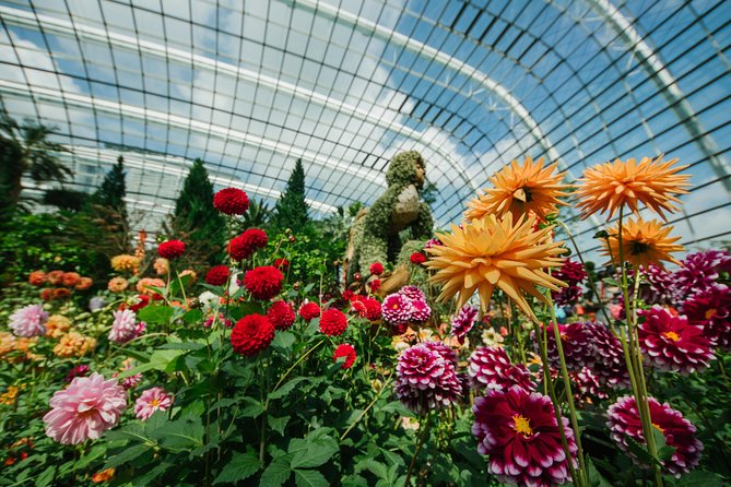 Gardens by the Bay With One Way Transfer (2 Domes) - Additional Resources