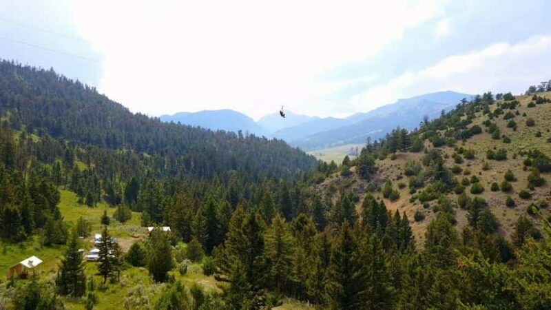 Gardiner: Guided Zipline EcoTour (3 hours) - An In-Depth Look at the Guided Zipline EcoTour
