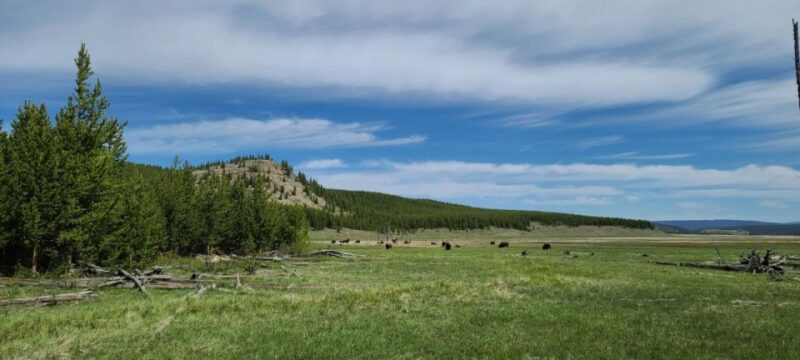 Gardiner: Yellowstone National Park Half Day Guided Hike - Private Group Experience