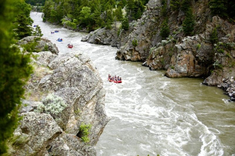 Gardiner: Yellowstone River Half-Day Whitewater Rafting - Experience Highlights