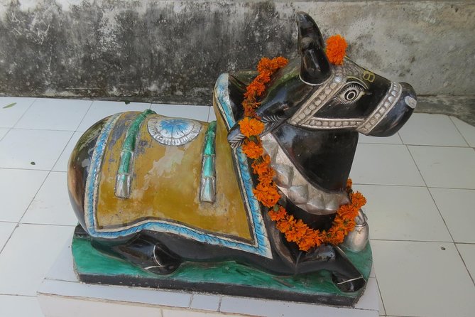 Garhwal Village Trip - 5 Night 6 Days - Curated Tour Options