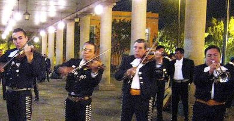 Garibaldi by Night With Dinner at Bellini - Entertainment