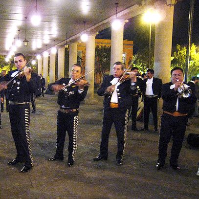 Garibaldi by Night With Dinner at Bellini - Important Information