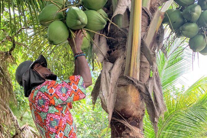Garifuna Cultural and Culinary Experience in Hopkins Belize - Culinary Offerings