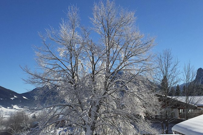 Garmisch-Partenkirchen Walking Tour - Indulging in Culinary Delights