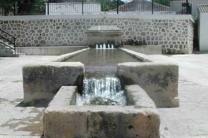 GASCULSIECA (Gastronomy and Culture of the Sierra De Cádiz) - Participant Experience and Reviews