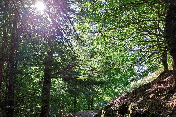 Gastro Hike (Private) - Culinary Delights in Madeira