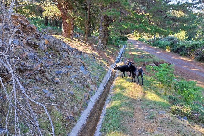 Gastro Hike (Private) - What to Expect on Your Tour