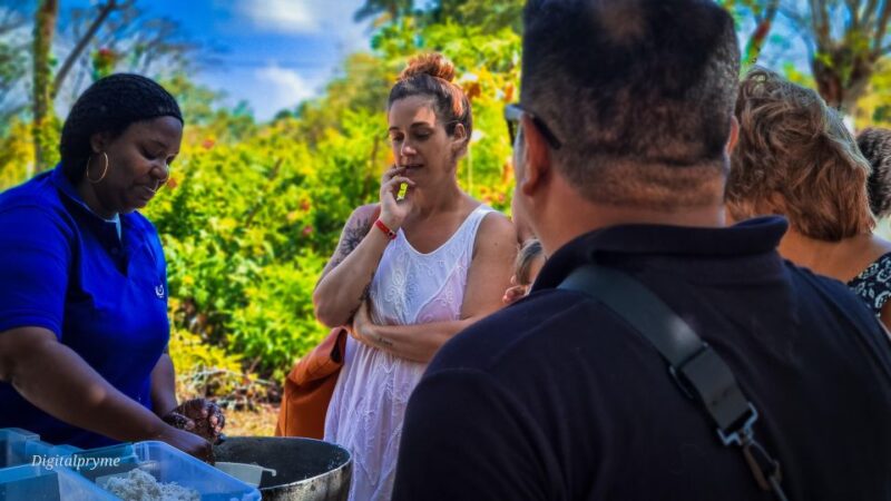 Gastronomic and Musical Experiences in San Andres Rondontour - Itinerary