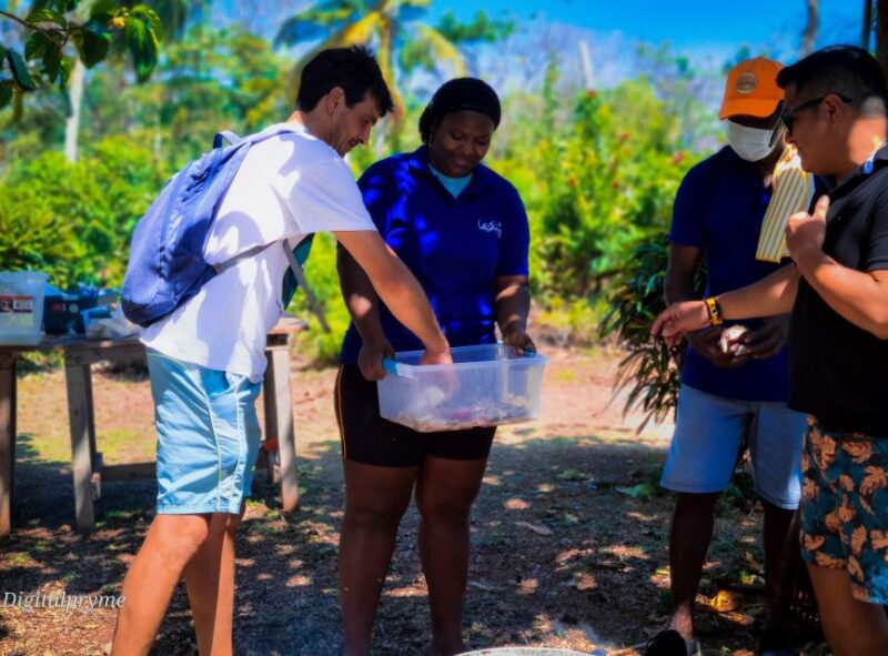 Gastronomic and Musical Experiences in San Andres Rondontour - Inclusions