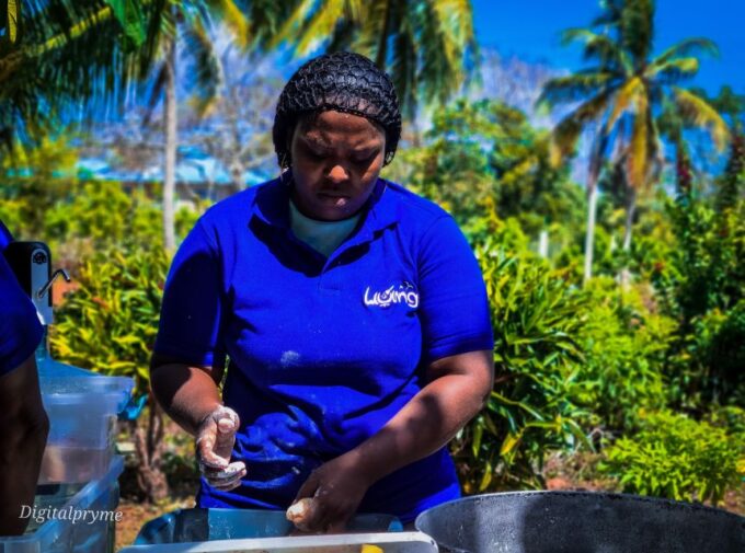 Gastronomic and Musical Experiences in San Andres Rondontour - Customer Feedback