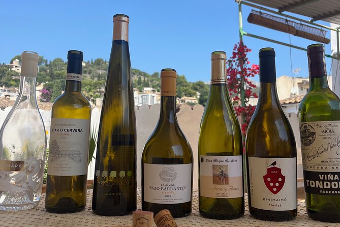 Gastronomic Mallorquin Wine Tasting & Local Delicacies - Accessibility and Additional Information