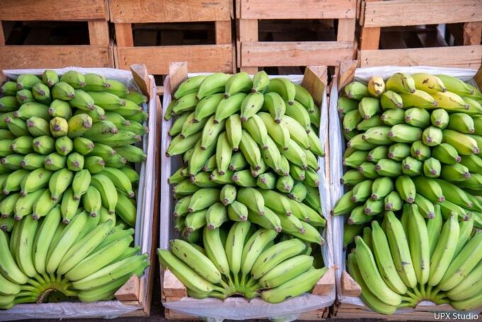 Gastronomic Tour at the Municipal Market of Rio De Janeiro - Frequently Asked Questions