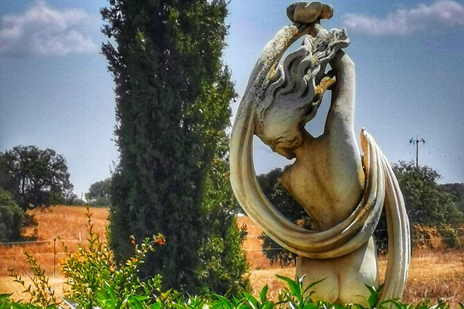 Gastronomic Wine Tasting in Mértola, Alentejo - Experience Details