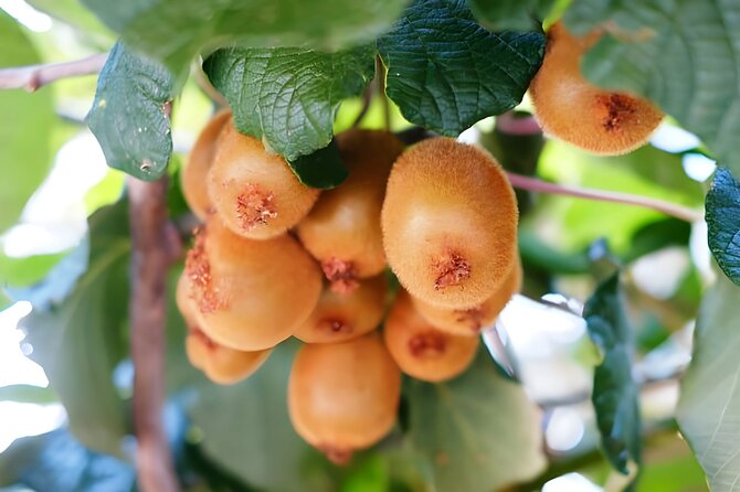 Gastronomical Amalfi Coast Hike With Cooking Class - Cooking Class Experience