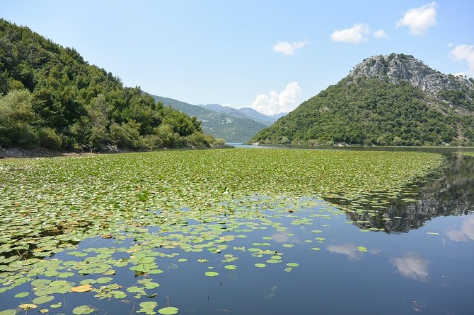 Gastronomy and Sightseeing in Montenegro - Lake Skadar & Cetinje Private Tour - Experiencing the Wine Tasting