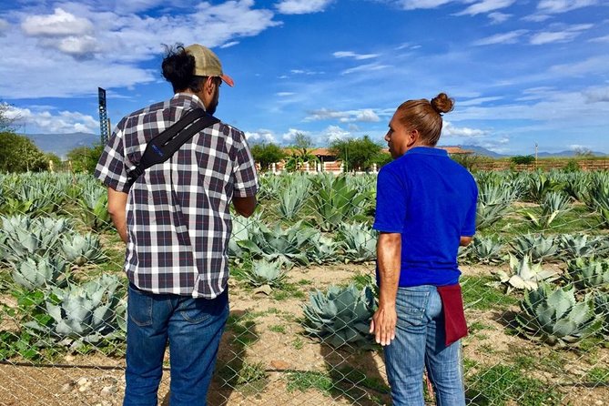 Gastronomy Experience, Culture Mezcal,Tasting & Textiles. Private Tour. - Booking Information
