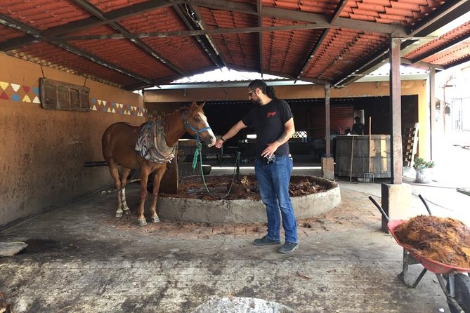 Gastronomy Experience, Culture Mezcal,Tasting & Textiles. Private Tour. - Textile Workshop and Master Weavers