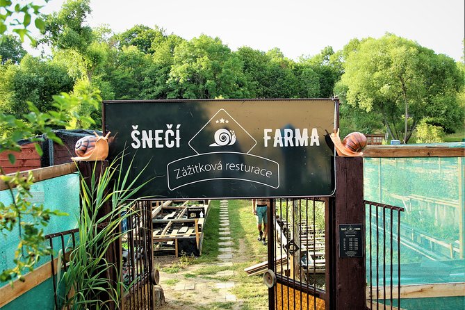 Gastrotour: Snail'S Farm With Degustation - Key Points