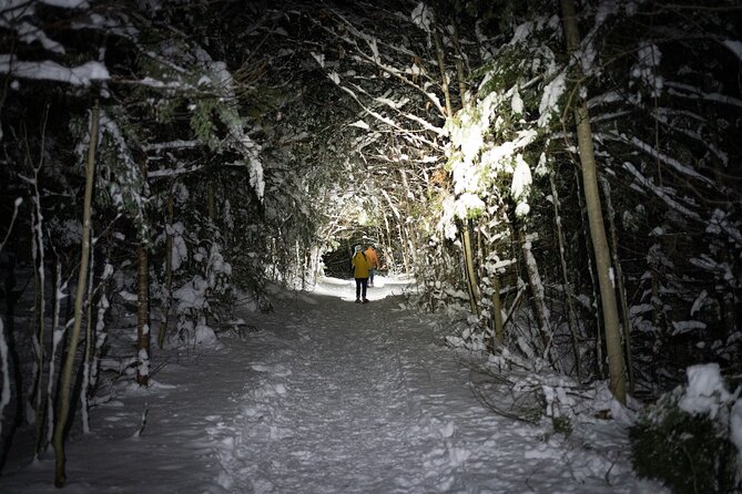 Gatineau Park Nocturnal Snowshoeing Adventure & Dinner - From Ottawa & Gatineau - Guided Snowshoeing Adventure