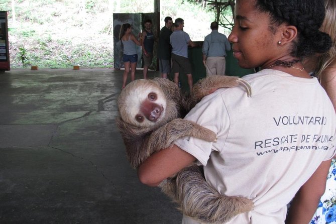 Gatun Lake & Panama Canal Wildlife Boat Tour and Sloth Sanctuary - Tour Inclusions