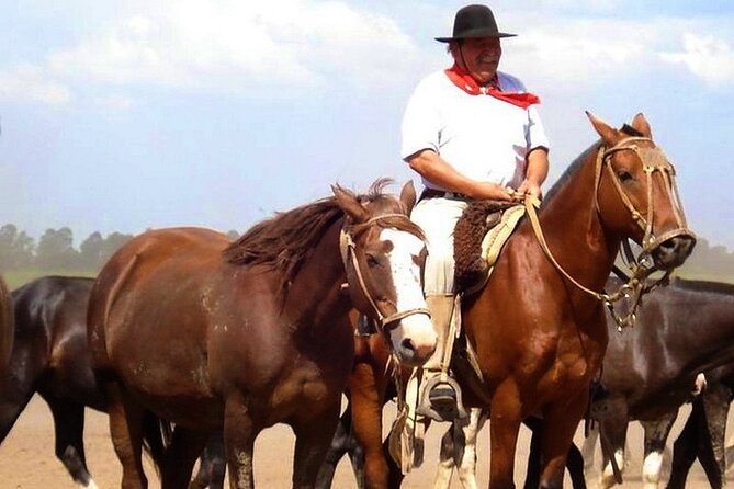 Gaucho Day Tour Santa Susana Estancia From Buenos Aires - Taking in Gaucho Culture