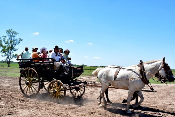 Gaucho Day Tour Santa Susana Estancia From Buenos Aires - Exploring the Stunning Ranch Grounds